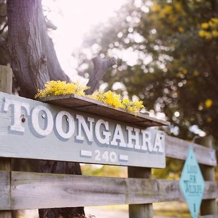 Torquaytoongahra Bnb エクステリア 写真